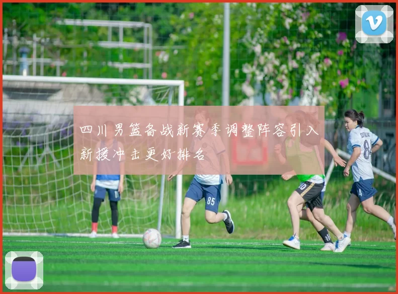 四川男篮备战新赛季调整阵容引入新援冲击更好排名