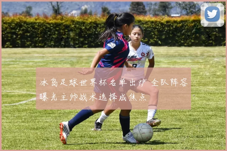 冰岛足球世界杯名单出炉 全队阵容曝光主帅战术选择成焦点