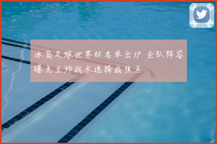 冰岛足球世界杯名单出炉 全队阵容曝光主帅战术选择成焦点