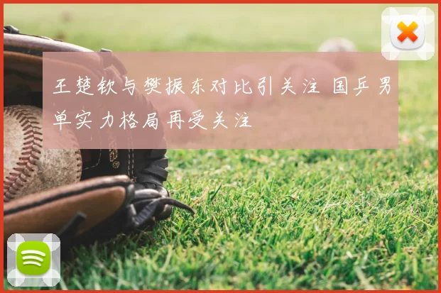 王楚钦与樊振东对比引关注 国乒男单实力格局再受关注