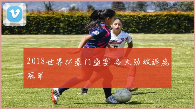 2018世界杯豪门盛宴 各大劲旅逐鹿冠军