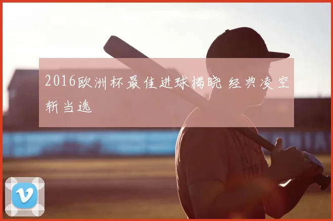 2016欧洲杯最佳进球揭晓 经典凌空斩当选